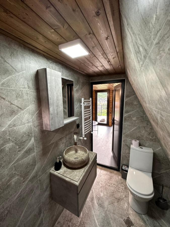 Alagi Cottage Kazbegi Luaran gambar