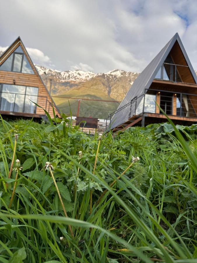 Alagi Cottage Kazbegi Luaran gambar